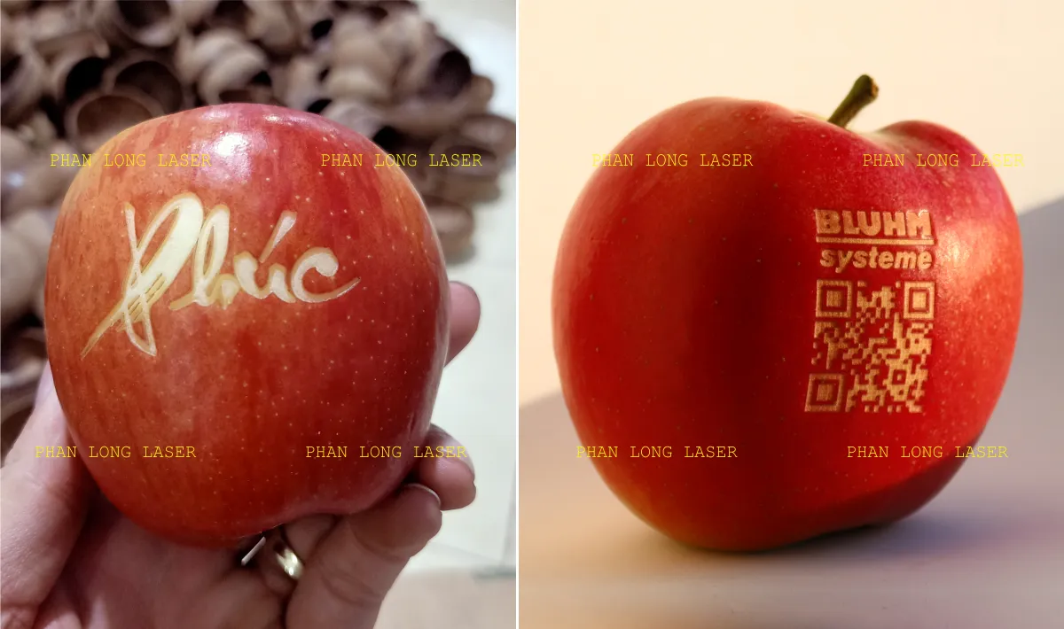 Khắc laser logo, khắc thư pháp, khắc mã QRcode lên trái táo, trái cây hoa quả theo yêu cầu tại Gò Vấp, Tân Bình, Tân Phú, Bình Tân, Bình Thạnh, Thủ Đức, Phú Nhuận, TP Hồ Chí Minh, Sài Gòn, Tphcm