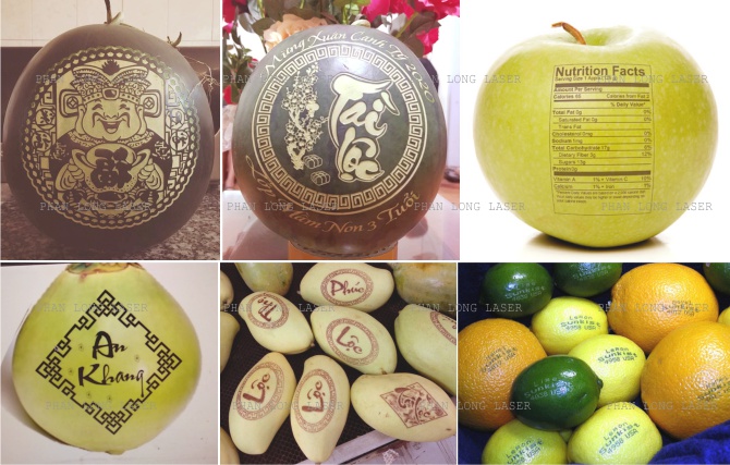 Khắc logo lên dưa hấu, dừa, táo, xoài, bưởi cam canh tại xưởng Phan Văn Trị Gò Vấp và Xưởng Văn Chung Tân Bình