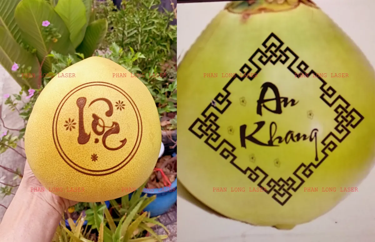 Khắc laser logo thư pháp lên trái bưởi và trái dừa theo yêu cầu tại Đà Nẵng và Hải Phòng