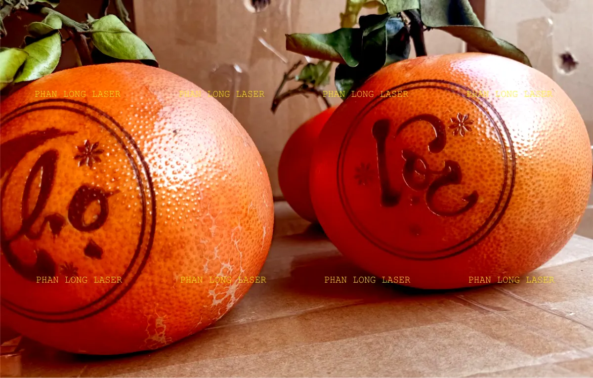 Khắc chữ khắc tên, khắc thư pháp, khắc logo lên trái cây hoa quả cam quýt tại Đà Nẵng và Hải Phòng